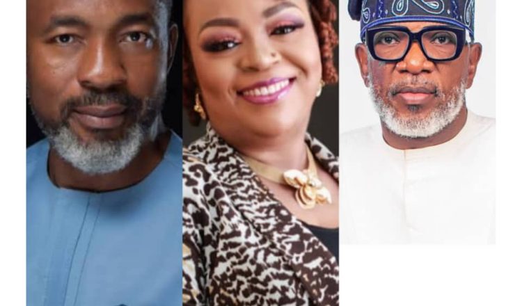 Ike Neliaku Re-elected As NIPR President; Nwankwo And McMedal Join Council