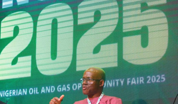 Shell Sees Bright Future For Nigerian Companies In Offshore Developments