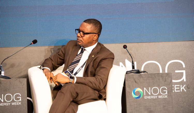 How Nigeria Can Accelerate Gas Development – Shell