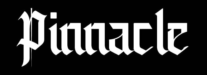Experts Highlight Innovative Revenue Models As Pinnacle Unveils Flagship Platform ‘Pinnacle Daily’s
