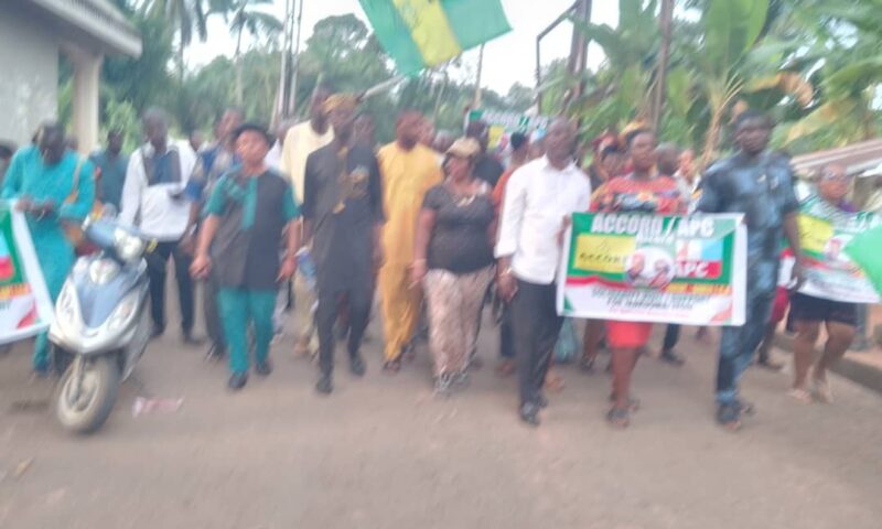 Anambra 2025: Accord Party partners APC, Ukachukwu for Nov 8