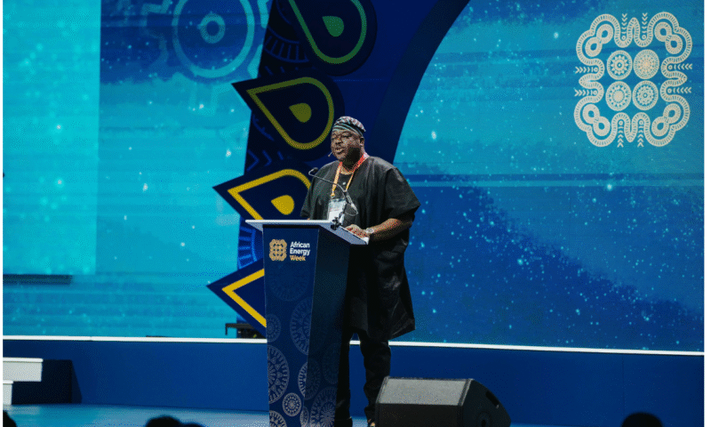 NLNG Calls For Africa-Centric Strategies To Safeguard Energy Security