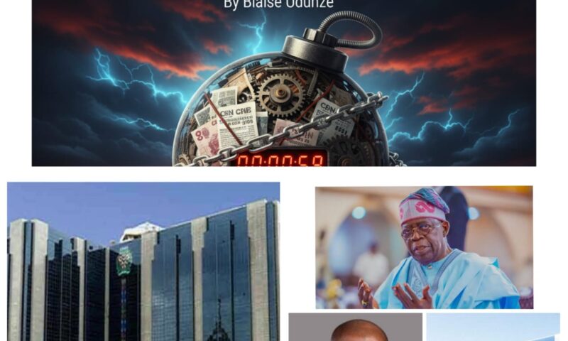 A Dangerous Concentration Of  Power: Is CBN’s Fixed Income Securities Takeover A Ticking Bomb For Nigeria’s Economy?  