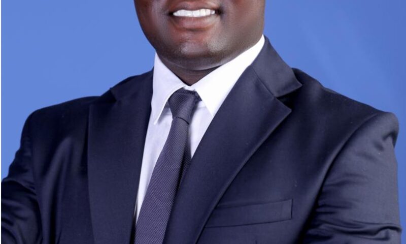 Olusanya Adesanya Moves From Guinness To FrieslandCampina To Boost Sales 